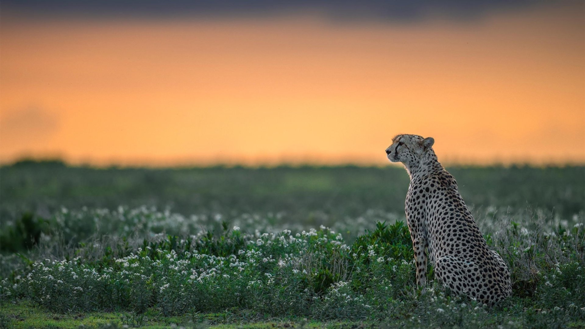 乐鱼体育在线下载-国际足球裁判培训实现全面数字化,执法水平稳步提升,足球裁判员培训班