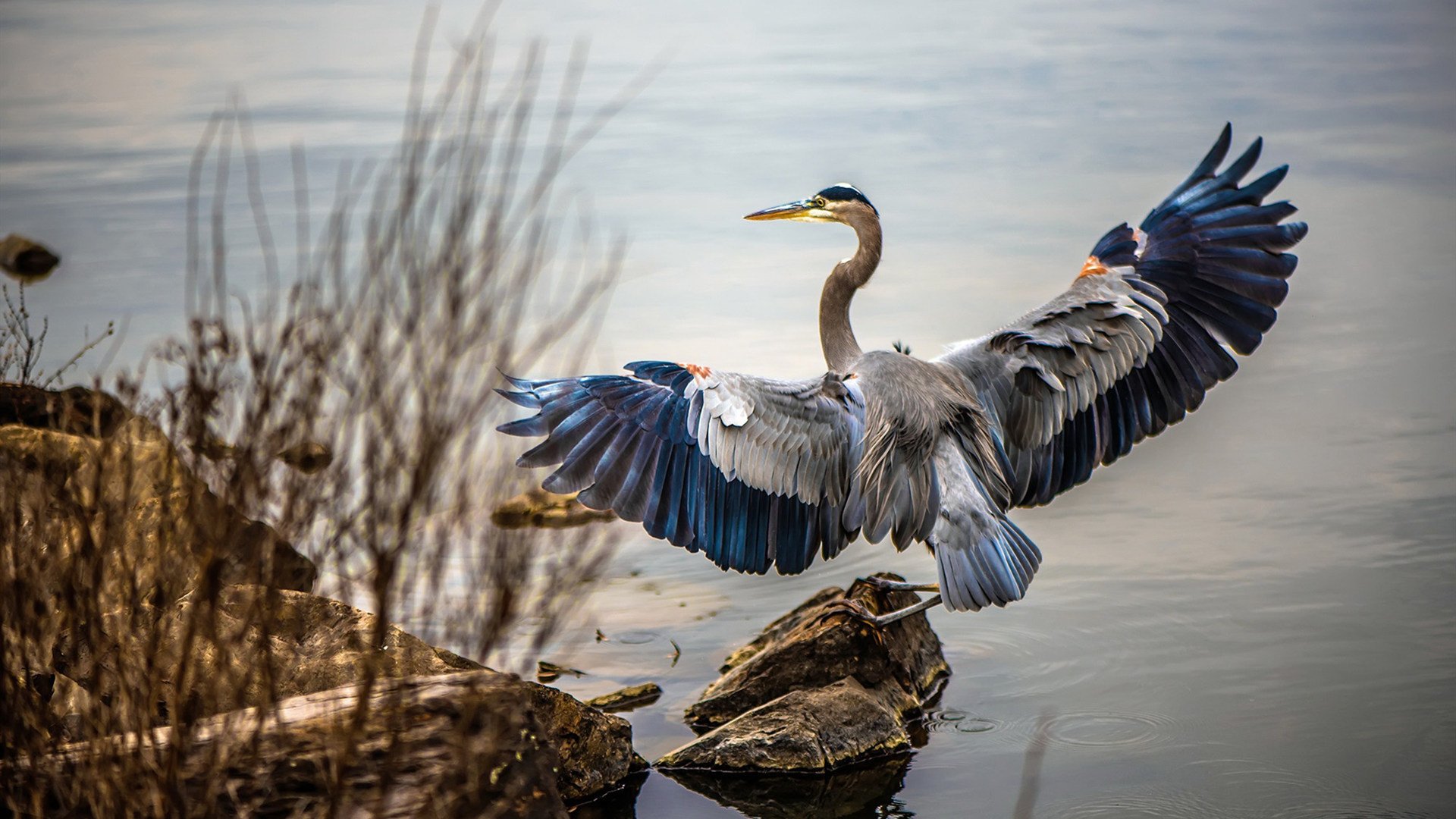 乐鱼app下载-巴黎圣日耳曼继续领跑法甲,夺冠希望逐渐明朗
